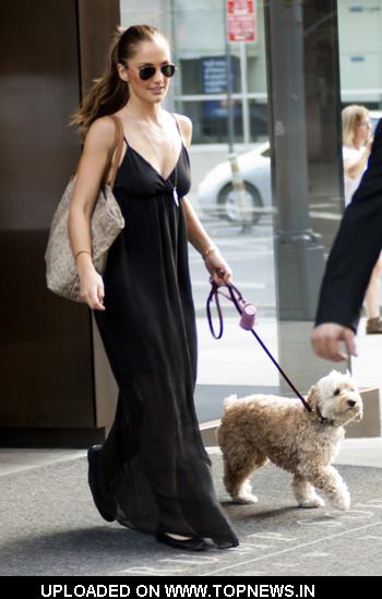 Minka Kelly Walks Her Dog in NYC Minka Kelly Walks Her Dog in NYC