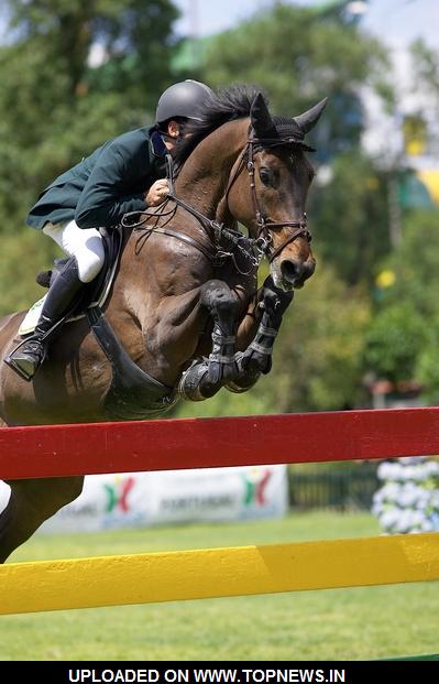Phillip Spivey at 88th International Official Showjumping Competition CSIO - Day 4