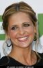 Sarah Michelle Gellar at CBS, The CW and Showtime TCA Party - Arrivals
