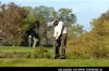 Vijay Singh at 2008 Buick Invitational