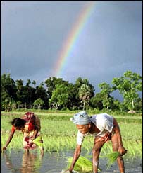 600 billion rupees package for farmers