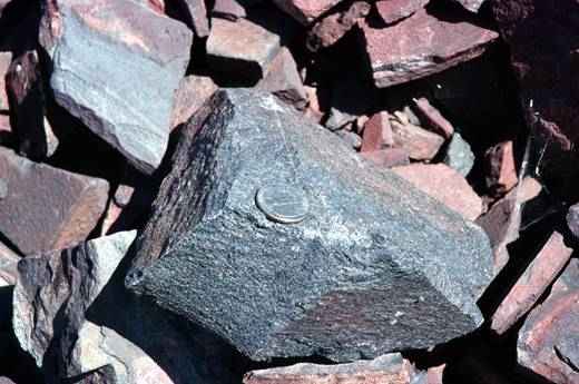 Steel Ministry for banning iron ore exports