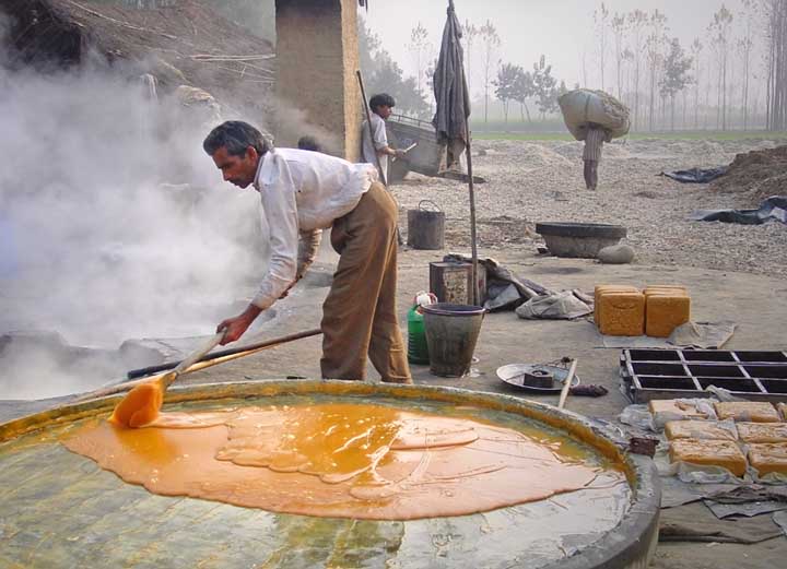 Jaggery Production