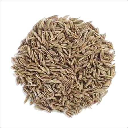 Commodity Outlook for Jeera by KediaCommodity