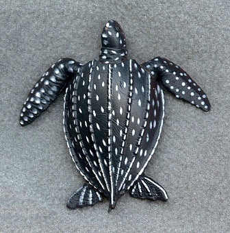 World’s largest leatherback sea turtle population identified
