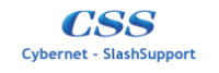 Cybernet-SlashSupport begins new IT services facility in Chennai