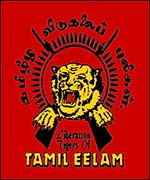 Tamil rebels declare unilateral ceasefire during SAARC talks