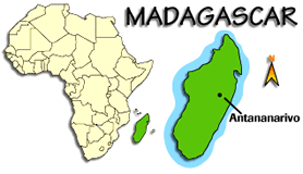 Mutinous troops in Madagascar "send tanks to the capital": report 