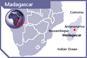 Reports of shots outside Madagascar presidential palace 