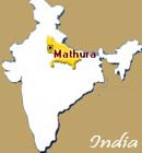  Violence in Mathura on polling day