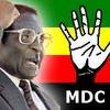 The end of an era: Mugabe gives up a share of power