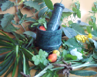medicinal_herbs
