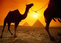 Middle East tourism 