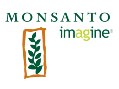 Monsanto plans to slash prices of GM seeds