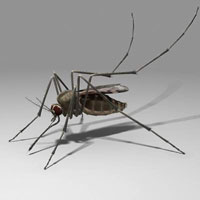 Seven new dengue cases in Delhi, total now 1068