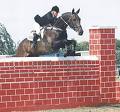 First horses for Olympic equestrian events arrive in Hong Kong 