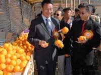 Festival to promote orange cultivation held in Manipur