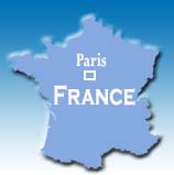 Four hurt, scores arrested as Tamil protest turns violent in Paris
