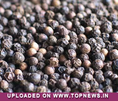 Commodity Trading Tips for Pepper by KediaCommodity