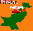 Pak security forces gun down 19 more militants in Bajaur Agency