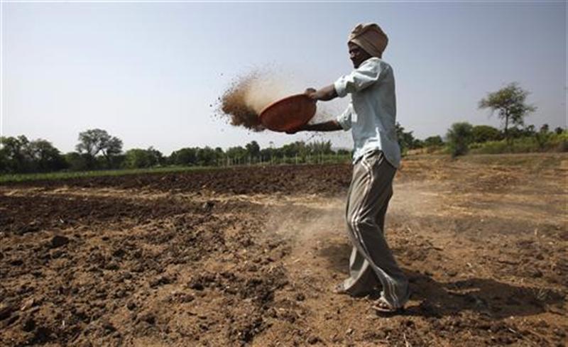 Govt. cuts subsidy on non-urea fertilisers for current fiscal