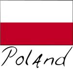 US, Poland make progress in missile shield talks, details remain