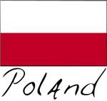 Poles say Russian diplomat's visit still on 