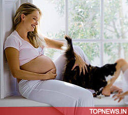 tips on getting pregnant for women on Pregnant pets and pregnant women have same needs | TopNews
