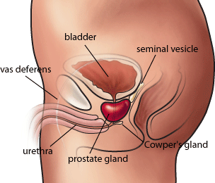 Largest prostate cancer study finds current treatment ineffective