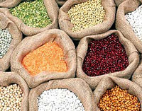 Guar, Pulses And Grains Market Watch By Nirmal Bang Securities      