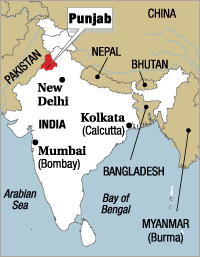 Swine flu death sparks controversy in Punjab town