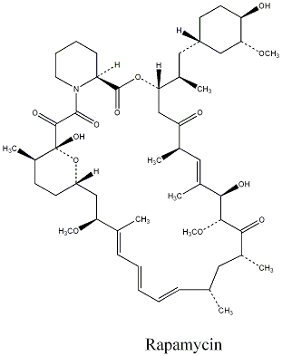 Transplant drug can boost immune response