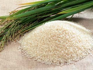 40 lakh tonnes of paddy procured in Punjab, Haryana 