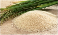 Pusa-1121 Rice Wins 'basmati' Status