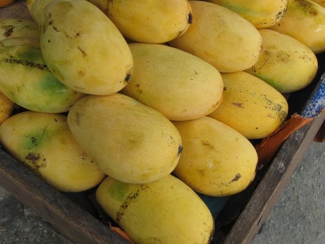 Health inspectors increasing checking artificially ripened mangos