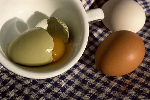  ‘Rotten egg’ gas safeguards blood vessels from diabetes complications