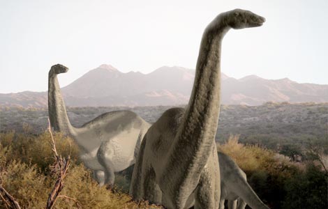 Long necks gave evolutionary advantages to sauropods, research