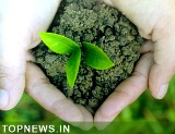 There’s still time to save the planet, say scientists