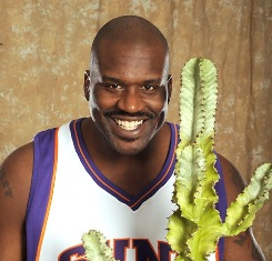 Suns ship Shaq to Cavs in three-player deal