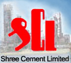 Rajasthan-based Shree Cement 