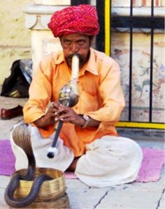 West Bengal's Snake Charmer