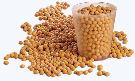 soybean-nutrition