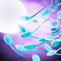 Fertility Chip Counts Sperm Accurately At Home