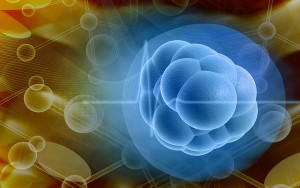 Gene therapy ‘causes breast cancer stem cells to self-destruct’