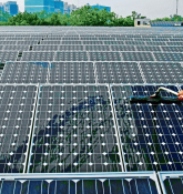 IREDA, RITES, RCF, NHPC, NTPC Green Energy Share Price Jumps on Friday; Stocks to Watch on Monday