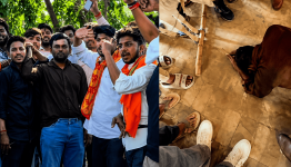 Muslim Man Assaulted by Cow Vigilante Group in Barabanki