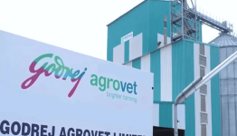 Godrej Agrovet Share Price Target at Rs 980: ICICI Securities