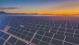 Waaree Energies Share Price Target at Rs 3,850: Motilal Oswal Research