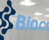 BIOCON, Tata Elxsi, IndusInd Bank Share Price Jumps; Technical Charts Suggest Bullish Trends
