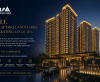 DLF Limited Share Price Target at Rs 810: ICICI Direct Remains Bullish on Real Estate Major
